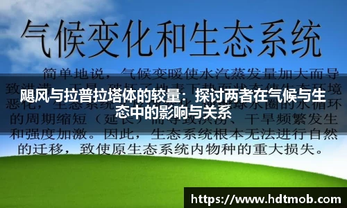 飓风与拉普拉塔体的较量：探讨两者在气候与生态中的影响与关系